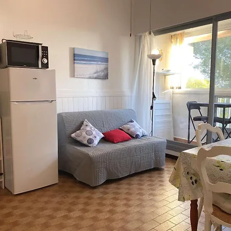 T2 Avec Loggia Et Internet A Deux Pas De L'etang De Thau A - Fr-1-553-217 Apartment Balaruc-les-Bains